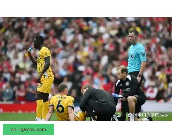 米尔纳654场刷新英超历史纪录